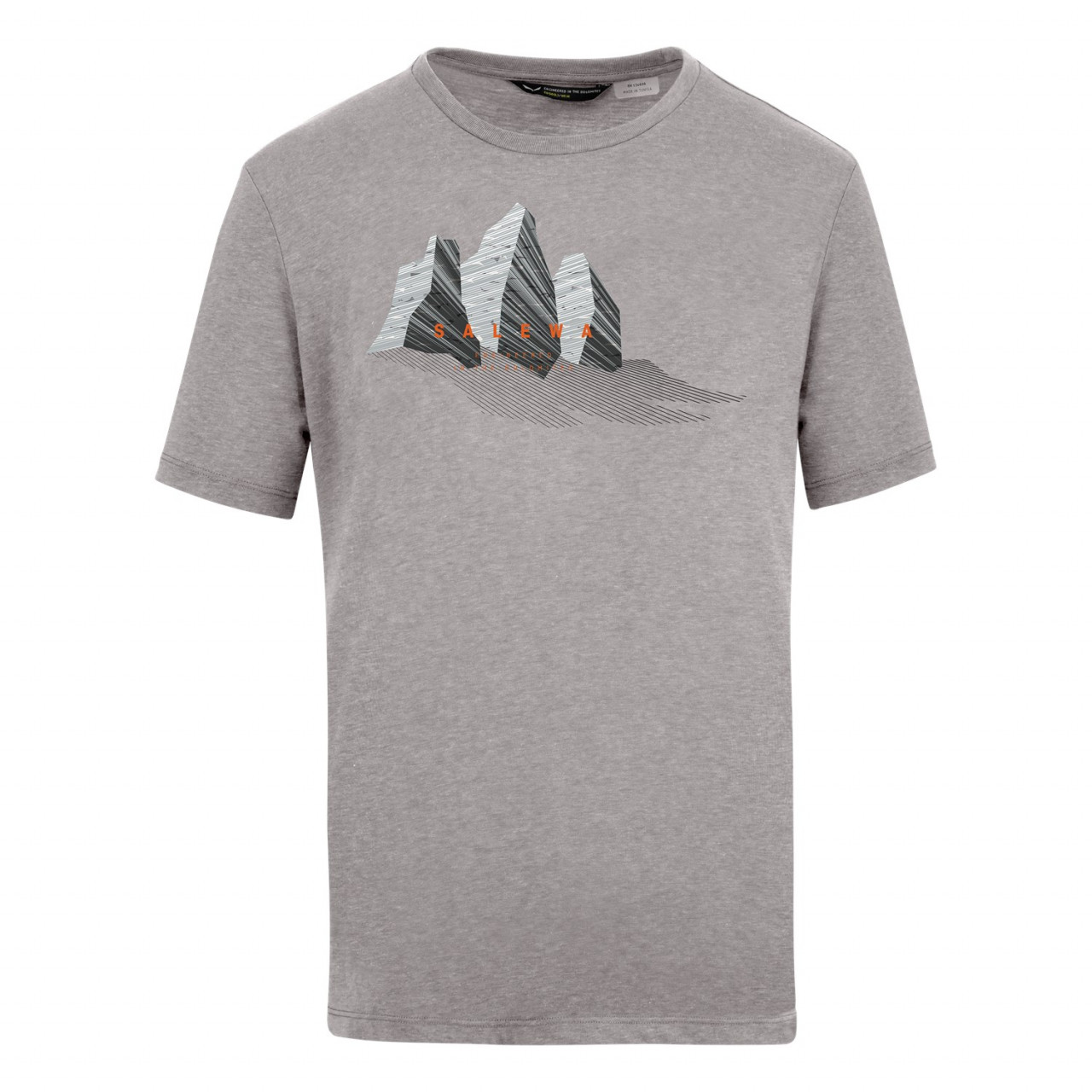 Salewa Men's Lines Graphic Dry T-Shirts Grey NGJ-890534